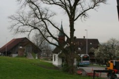 Linde-01