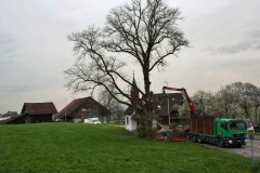 Linde-04