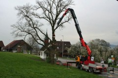 Linde-05