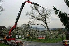 Linde-08