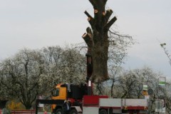 Linde-09
