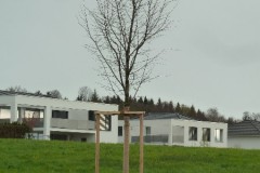 Linde-17